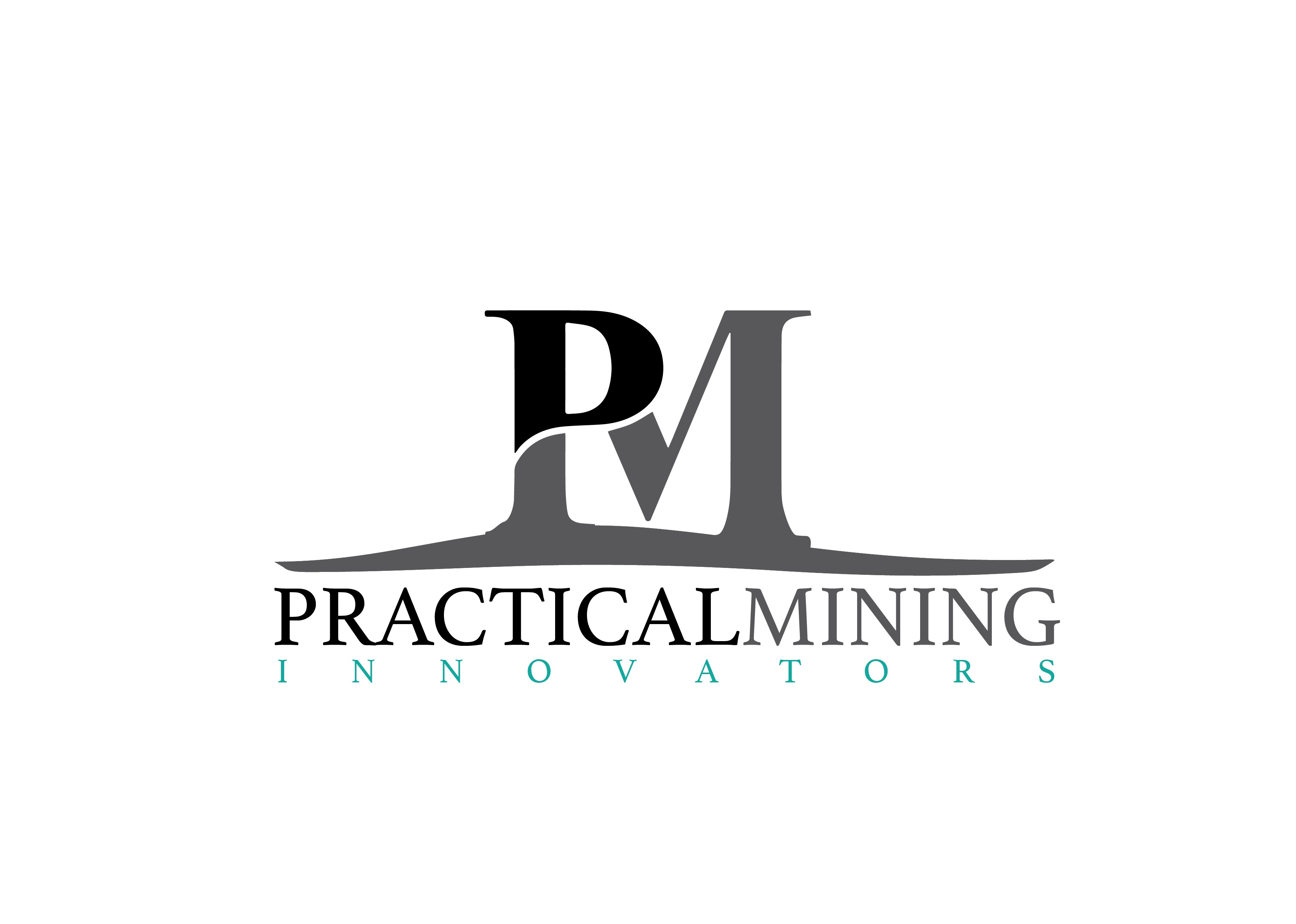 PMI_logo.jpg
